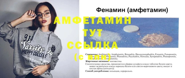 шишки Аркадак