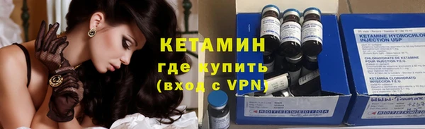шишки Аркадак