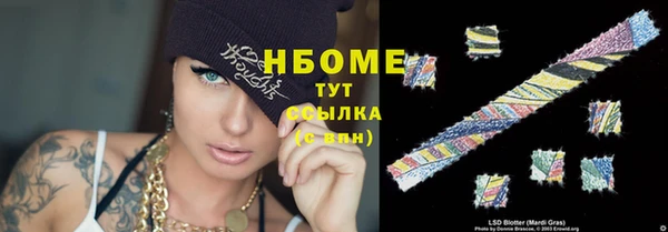 шишки Аркадак