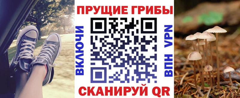 Псилоцибиновые грибы мицелий  закладка  Миасс 