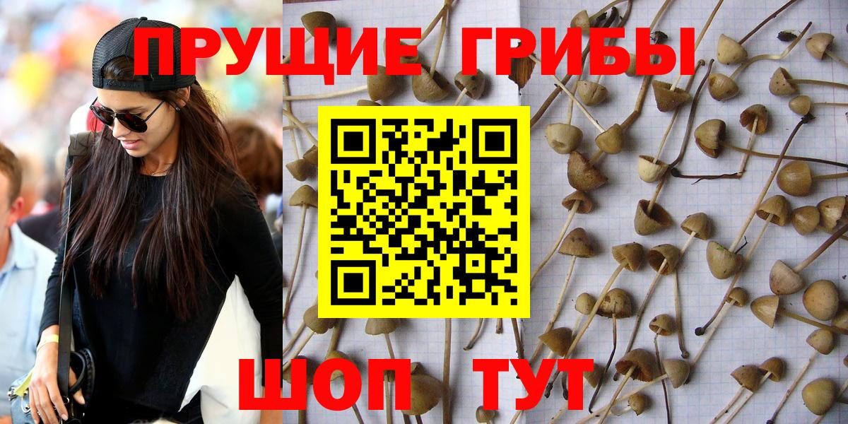 Галлюциногенные грибы мухоморы Миасс