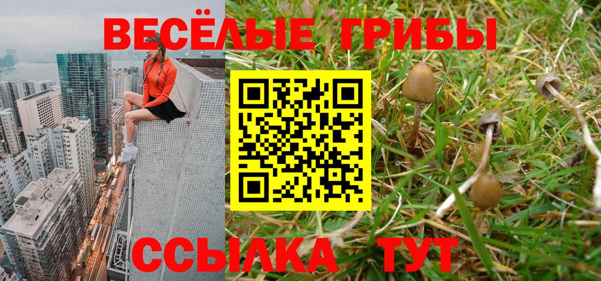 продажа наркотиков  Вход с VPN  Миасс  Псилоцибиновые грибы Psilocybine cubensis 