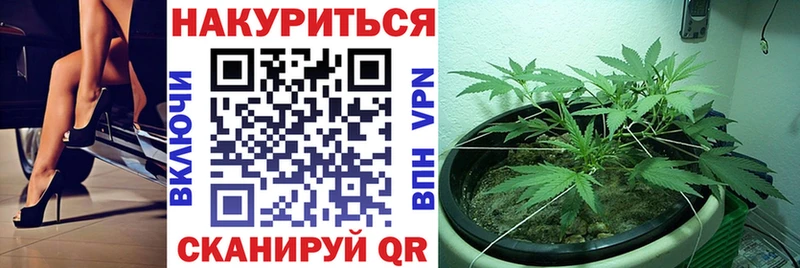 ОМГ ОМГ tor  Миасс  Шишки марихуана тримм 